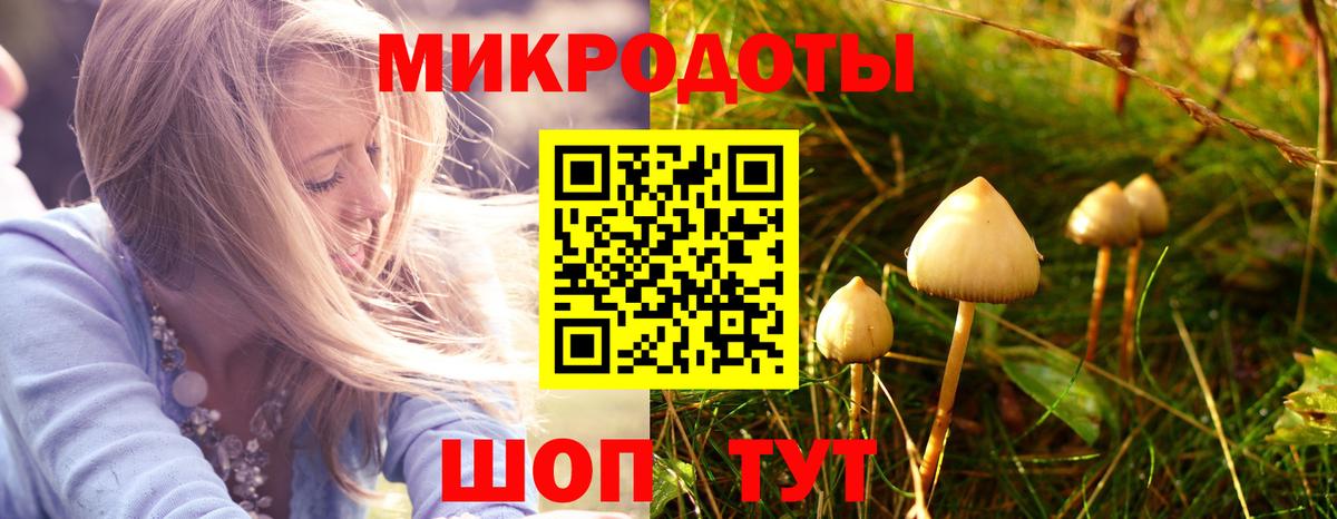 Галлюциногенные грибы мухоморы  Псилоцибиновые грибы Magic Shrooms  Вход с VPN  Кизляр 